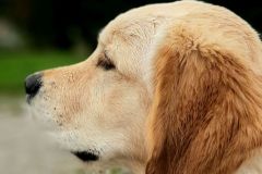 20250928_130338-Kopie