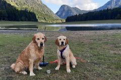 20251001_195905-Kopie