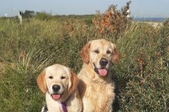 20250906_103302-Kopie