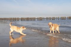 20250906_103903-Kopie