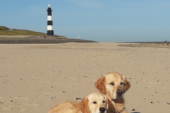 20250907_102150-Kopie