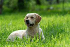 Jenna_04_26_web_01-Kopie