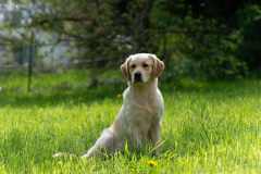 Jenna_04_26_web_03-Kopie