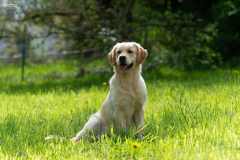 Jenna_04_26_web_09-Kopie