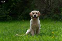 Jenna_04_26_web_16-Kopie