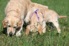 IMG_7542-Kopie
