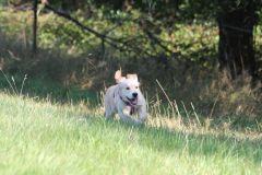 IMG_7557-Kopie