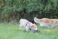 IMG_7579-Kopie