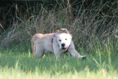 IMG_7600-Kopie