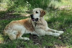03_20260617_110424-Kopie