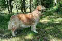 04_20260617_212948-Kopie
