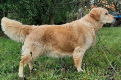 Josy-Sept.-24